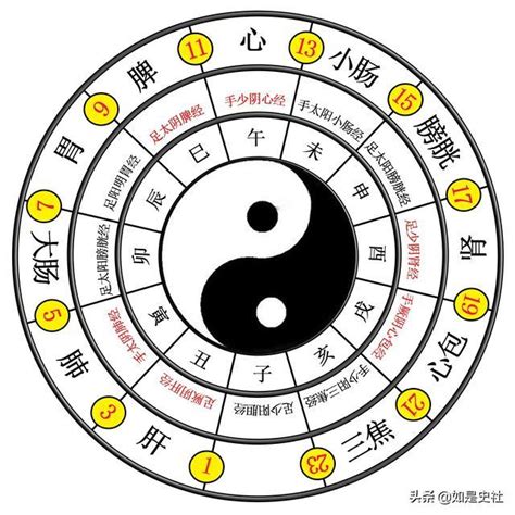 生兩儀|易有太極，始生兩儀。兩儀生四象，四象生八卦。怎麼。